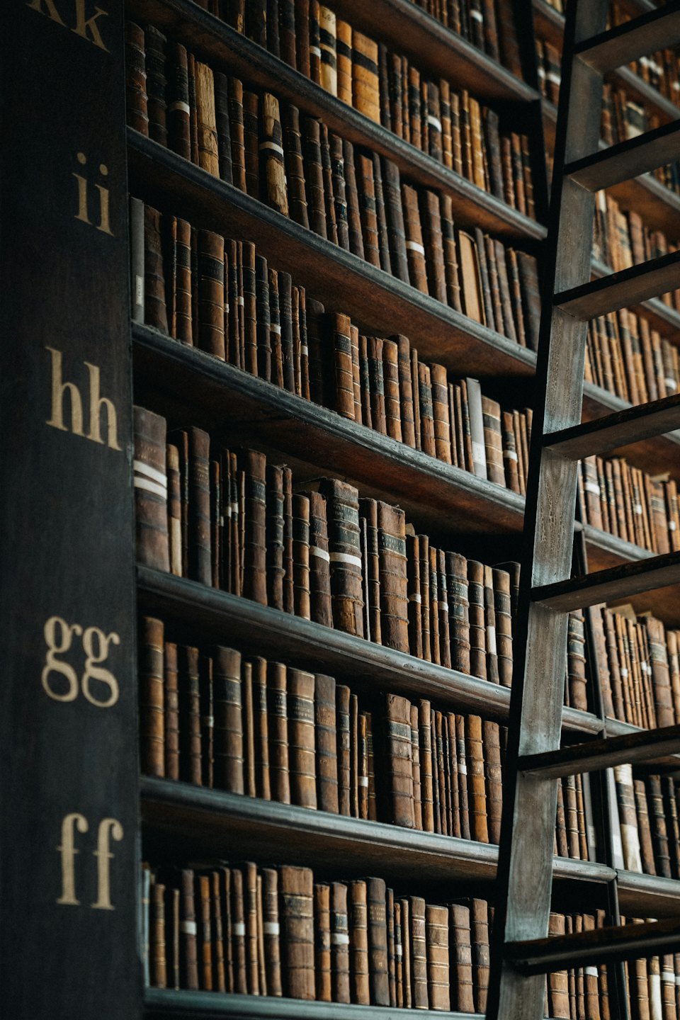 Scaffali di una biblioteca con vecchi libri rilegati in pelle e una scala a rotelle.